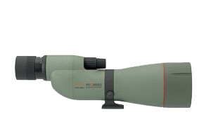 TSN-884.jpg